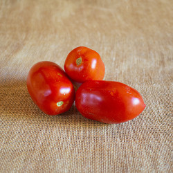 Tomata bombeta